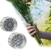 Vases Plastic Spiral Ikebana Tige Solder Transparent Diy Arrangement Floral Arranget Bouquet