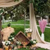 الزهور الزخرفية الصغيرة بامباس العشب ديكور مزيفة زفاف زفاف القصب الأرجواني أمريكا الجنوبية زهرة السافانا