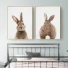 Rabbit grigio anteriore e posteriore photo wall arte carina animale poster di tela di pittura di scuola materna per bambini dipinto decorativo per bambini