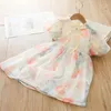 Mädchenkleider 2024 Sommermädchen Kleid Retro chinesische Blumenbaby Kleidung