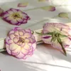 Dekorativa blommor 12st/3-5 cm pressad gradvis rosa roshuvud torrt blomma dropplim bokmärke po ram ansikt klistermärke material