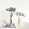 Fleurs décoratives 20pcs Tail Gras