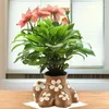 花瓶樹脂プランターのかわいい斬新な植物鍋サボテンのシダの多肉植物と小さな観葉植物のための