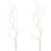 Decorative Flowers 2 Pcs Dry Branches Manzanita For Vase Sticks Decor Christmas Decorations Filling Birch Twigs White Frosted