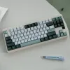 アクセサリーGMK植物141キーdyesub pbt keycapチェリープロファイル機械キーボードのための英語キーキャップ61/64/68/75/84/87/96レイアウト