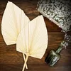 Decorative Figurines 4Pcs Dried Palm Leaves Fans Boho Spears Artificial Plants Tropical