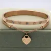 Luxus Roségold Edelstahl Armbänder Armbänder weiblich Herz für immer Liebe Marke Charme Armband für Frauen berühmter Schmuck