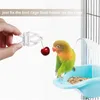 Piatti decorativi da 6 pezzi clip vegetale per uccelli per alimentazione a gabbia per uccelli pappagalli e alimentazione della frutta
