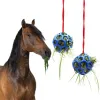 Treat Ball Ball Feeder Feeder Bey Ball wiszące zabawki dla bydła i dozownika paszowego koni będą odpowiednie dla owczy kozie koni