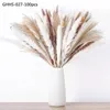 Fleurs décoratives Natural Pampas Pampas Grass Fall Fall Home Decor Taid Tail Tail pour une table et une pièce de décoration de mariage