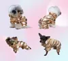 5 Farbe Whole Big Designer Hundebekleidung für kleine große Hunde Winter Haustiere Mantel wasserdichte Welpenjacke Windproof Doggy Snowsuit 2835388