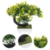 Fiori decorativi Ornamenti di piante in vaso artificiale Decorazioni natalizie bonsai false piante verdi decori ornamenti per ufficio in plastica