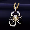 Animal Scorpion Hip Hop Pendant med 18k gult guldhalsband kubik zirkon Men039s halsbandsmycken för gåva5745928