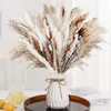 Decorative Flowers Pampas Grass Dried Tail Artificial For Home Garden Decoration Christmas Wedding Baby Shower Decorations