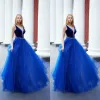 2024 Nya modekvällsklänningar blå sexig djup v hals ärmlösa kvinnor tillfälle fest kändis klänningar golvlängd formella balklänningar