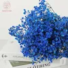 Gedroogde bloemen Echte vers bewaard gebleven Gypsophila Eeuwige adem gedroogde bloemen Bruid Wedding Bouquets Valentijnsdag Gift Kerstfeest Decor