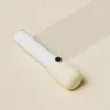 Mini Dust Wischer Roller Tränensfestpapier klebriger tragbares Haustier Haarkleidung Teppich Teous entgleiten Austauschbares Reinigungsbürsten -Werkzeug