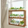 Potte-pot pour plantes 2 couches Soueurs de fenêtre étagère de fleur succulente rack de fleurs intime meubles de rangement de rangement salon simple