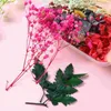 Decorative Flowers 2 Boxes Dried Real Mixed DIY Natural Flower Colorful Material For Resin Jewelry