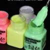 Bravo Glow in the Dark Paint 8 Colours Rangement clair étanche Pigment acrylique lumineux pour vêtements muraux Paint