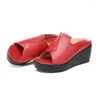 Slippers 2024 Femmes Slipper's Ladies Summer Shoes Corporations talons Fashion Geuthesine Leather Plateforme