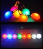 100 stcs Multi -kleuren LED PET Hondenkraagkraag Licht Tag kleurrijke knipperende lumineuze benodigdheden Glow Safety Xmas Pendant LL