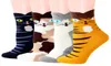 Automne et hiver nouveau chat mignon chaussettes de coton décontractées chaussettes adultes grandes femmes 7073118