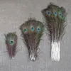 10/20/50pcs Doğal Peacock Feathers Düğün Partisi Masa Merkezi Vazo Dekor Mücevher Yapımı El Sanatları Tüy Aksesuarları için 25-65cm