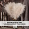 Flores decorativas boho Faux Fluffy Short Short Artificial Pampa Grass Decor Pampas Bulrush Reed para relleno de jarrón