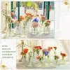 Nordisk stil transparent glasblomma vas för växtblomma hydroponiska bröllopsdekorationer vintage look hembord blommor dekor