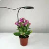 Função inteligente de escurecimento cronometrado, iluminação suplementar de plantas com polpa múltipla, espectro completo perto da luz solar Luz de crescimento