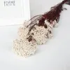 Decorative Flowers 50g Natural Millet Fruit Dried Flower Artificial Christmas Tree Year's Living Room Decoration Wedding Bedroom