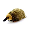 Echidna Anime Söt Mole Plushie Spiny Anreater Plush Toys Life Animals Simulation fylld docka Kawai Toy Gifts 240401