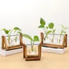 1 Set Plant -Terrarium mit Holzständer Metalldrehhalter Transparent Vintage Bonsai Glass Terrarium Home Decor Tisch Ornament