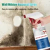 60ml Mildew Remover Spray Ceiling Bathroom Ceramic Wall Surface Anti-Mould Cleaning Foam Multi Effect Cleaning Decontamination