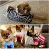 Camicia da maglietta a strisce per cani estivi abiti da pet traspirante abiti da cucciolo colorato per cuccioli per cani da piccolo a medio 240412