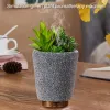 Humidifiers Ultrasonic Essential Oil Aroma Diffuser Plant Air Humidifier Aromatherapy Humidifier Waterless Auto Off for Home Office Car