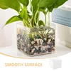 Vase2PCSクリアテラリウムプラスチックプランターVase Vase Plant Holder with Lid Moss for DIY