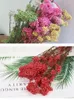 Fiori decorativi 50g Millet naturale frutta fiore secco soggiorno decorazione per matrimoni da letto piante artificiali ARTICIFICA