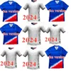 24 25 Pulisic McKennie Jersey Ertz Altidore Press Wood Morgan Lloyd 2024 2025 UV Resistance Men America Football Shirt United States Camisetas USMNT Player