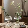 Vases DIY SOMMORAGE VASE VASE VASE MIGNE HYDROPONICS PLANT CRATT