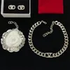 Silver Color Women Designer Choker Necklace Bracelet Earrings Luxury Pendant Necklace Fashion Bracelets V Letter Sets With Diamonds