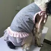 Abbigliamento per cani pantaloni fisiologici cuccioli animali domestici pigiami salto per pannolini per pannolini santini femminile slip mutande pijamas