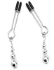 FORMAZIONI METALLE CLAPS CLIP RINGLIO Tortura Bell Tortura BDSM Bondage Bondage Toying Sexy for Women Couple Game4954695