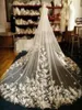 Luxury Cathedral Wedding Veils With Comb One Layer Flowers Appliqus Long Bridal Veil Custom Make 3m Long 3m Wide Bride Accessories6880311