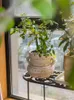 Vasen unverarbeitete Jade binauraler rotes Keramikblume Vase Vintage Art Pot Blume Behälter grüne Pflanzendekoration