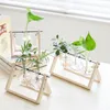 Vaser Växtglasvas med trälivtransparent terrarium retro bordsskiva Hydroponics bonsai hem dekoration