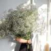 Dekorativa blommor naturliga torkade gipsophila blomma baby andningsgrenar för bröllopsdekoration diy buketter gåva blommor heminredning