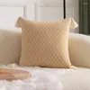 Pillow 2024 Nordic Style Salon Sofa Clou Couleur fraîche Bureau doux Couverture de support lombaire Pinside