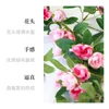 Decorative Flowers Simulated Rose Vines Fake Flower To Cover Living Room Ceiling Decoration Plastic